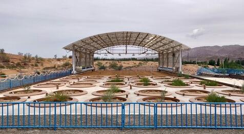 FFS-01���������B�x